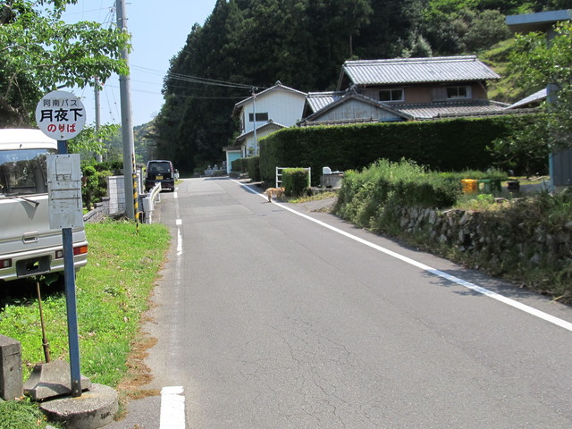 t16_081.jpg