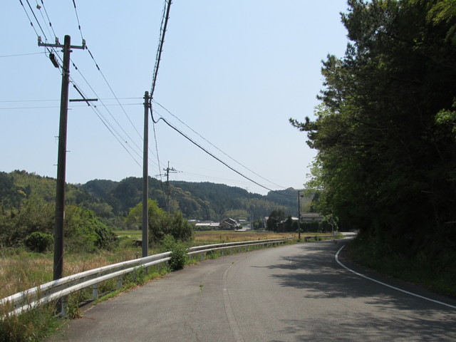 t16_082.jpg