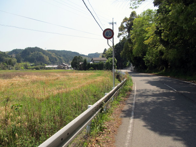 t16_083.jpg