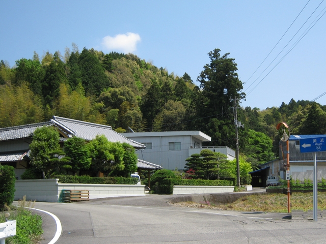 t16_085.jpg