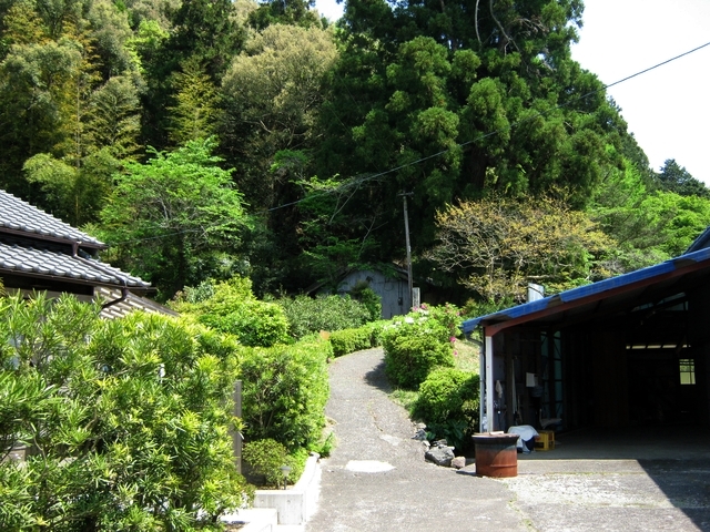 t16_086.jpg