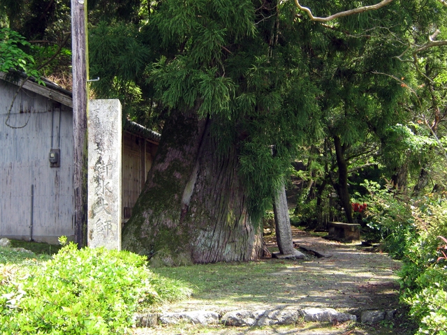 t16_087.jpg