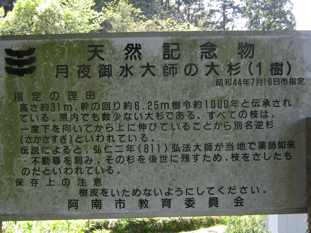t16_088.jpg