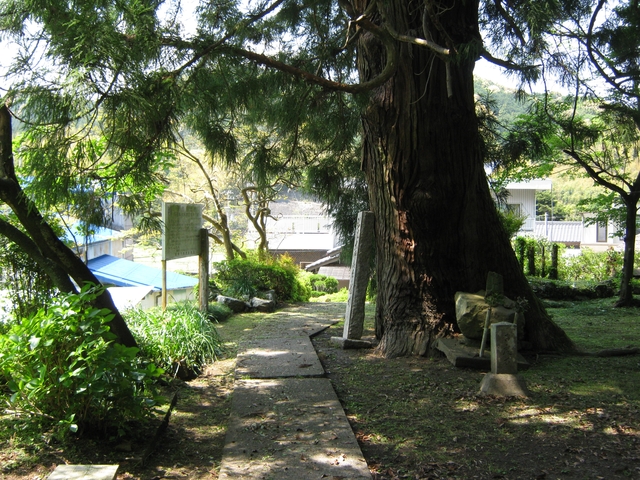 t16_090.jpg