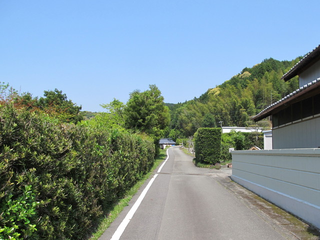 t16_091.jpg