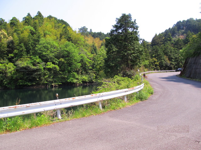 t16_095.jpg