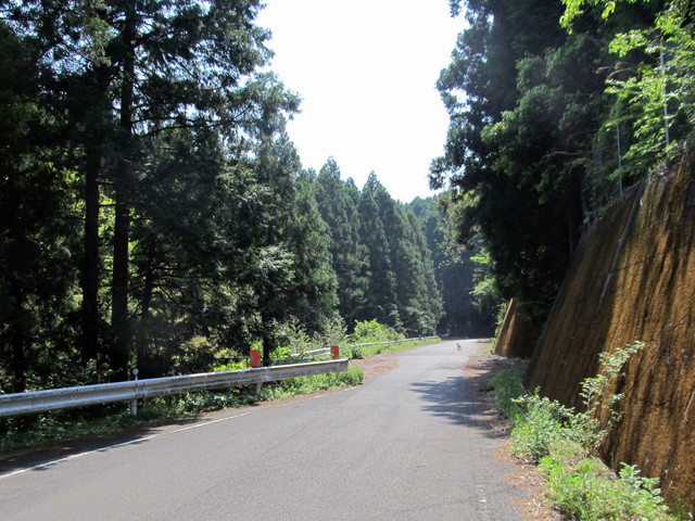 t16_096.jpg