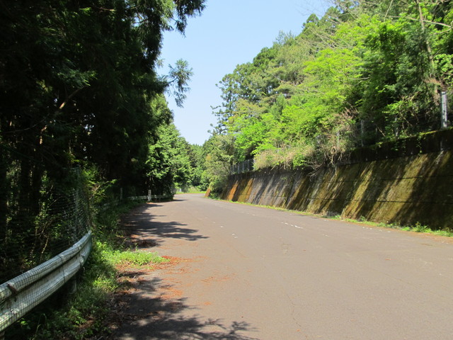 t16_097.jpg