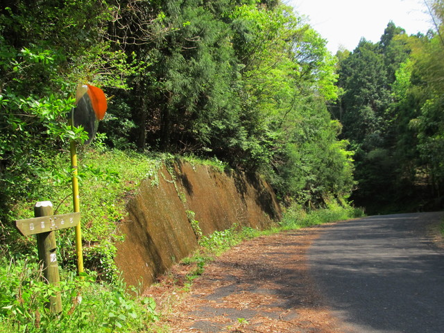 t16_099.jpg
