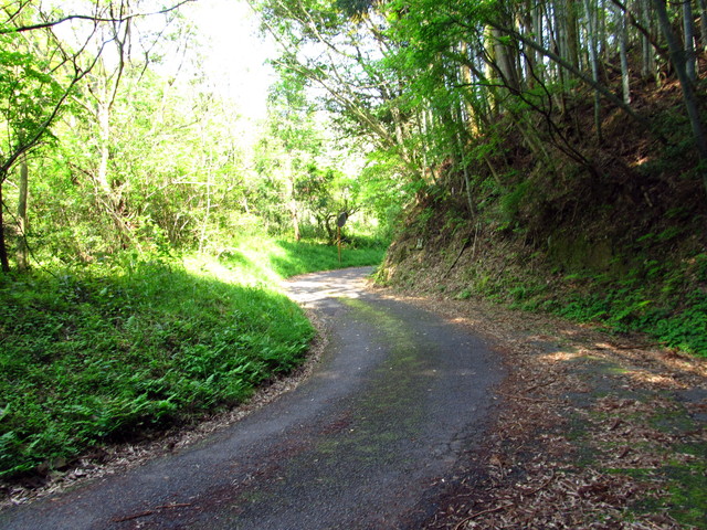 t16_100.jpg