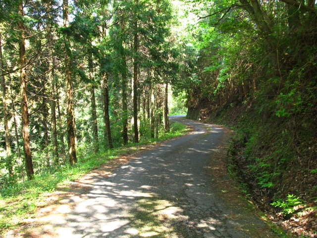 t16_101.jpg