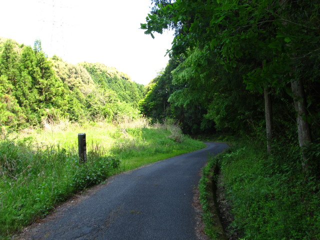 t16_102.jpg