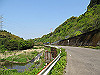 t16_105_thumb.jpg