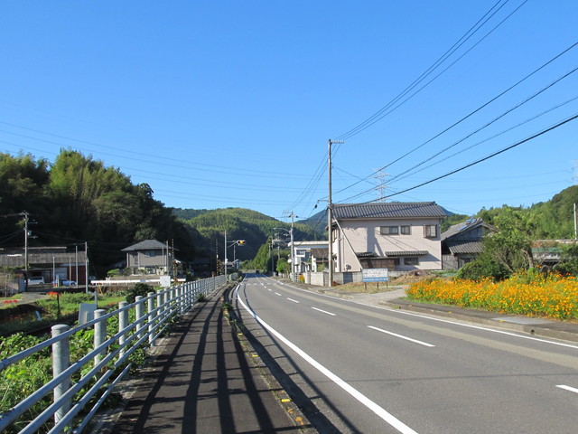 t17_004.jpg