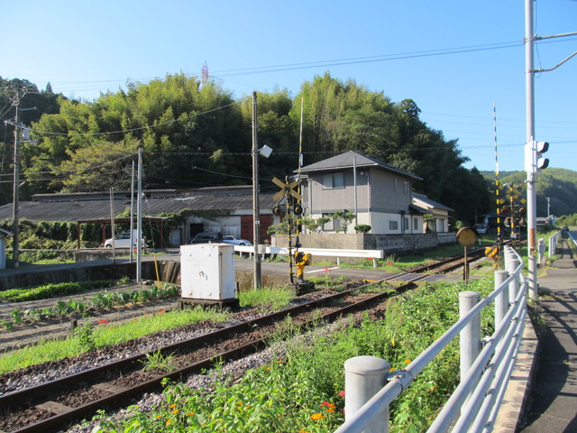 t17_005.jpg