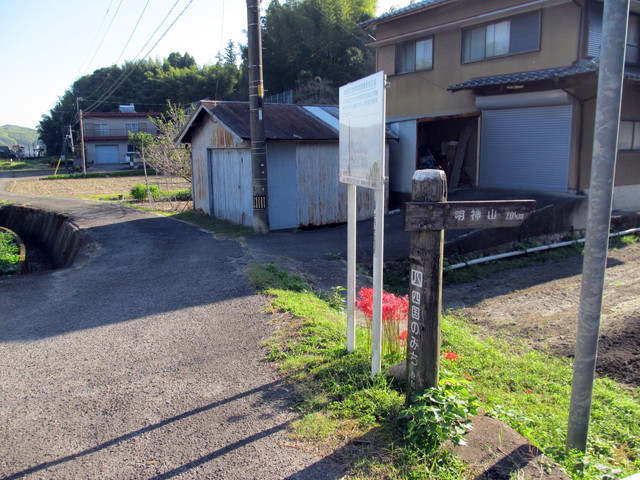 t17_007.jpg