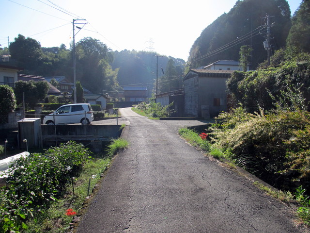 t17_008.jpg