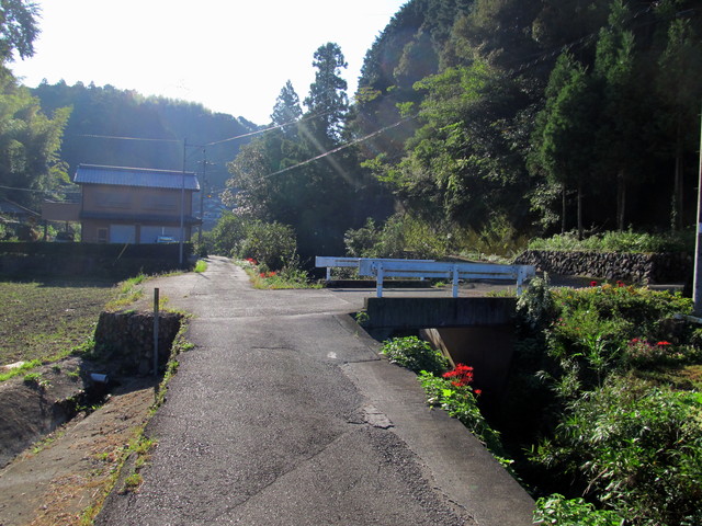 t17_009.jpg