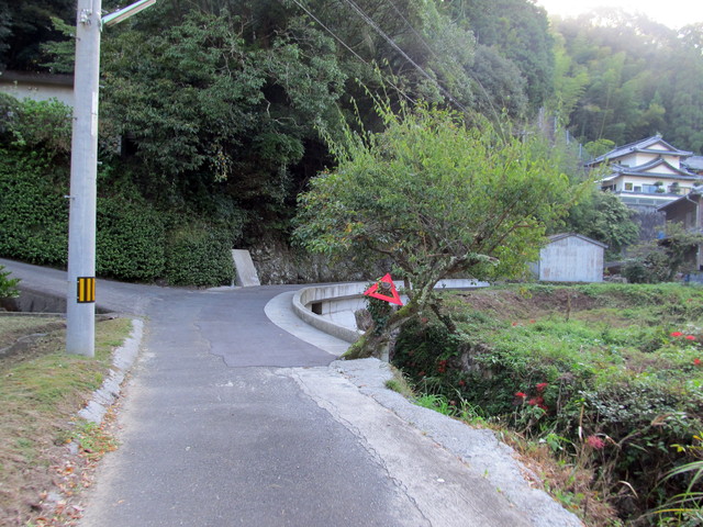 t17_011.jpg