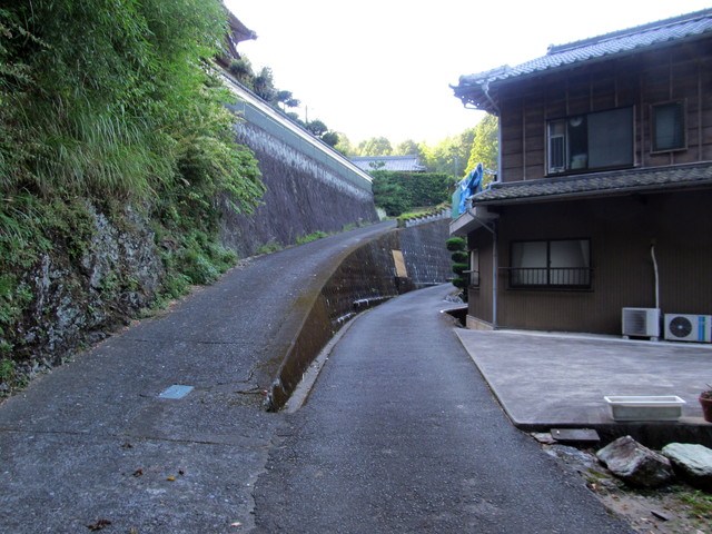 t17_012.jpg