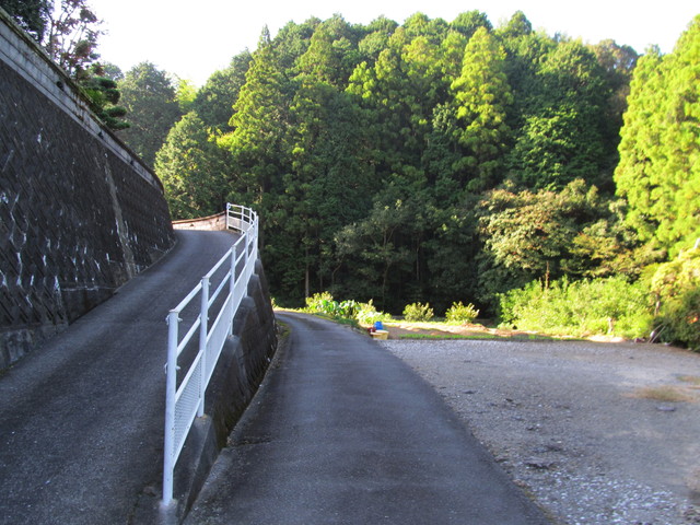 t17_013.jpg