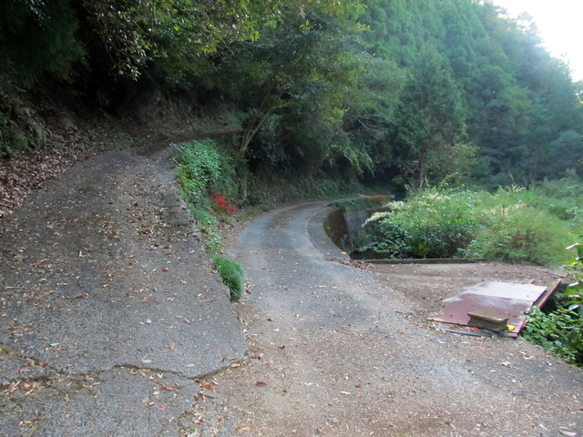 t17_014.jpg