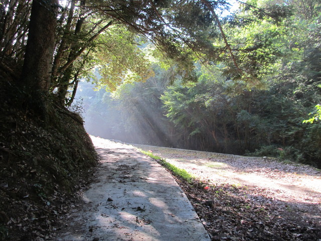 t17_015.jpg