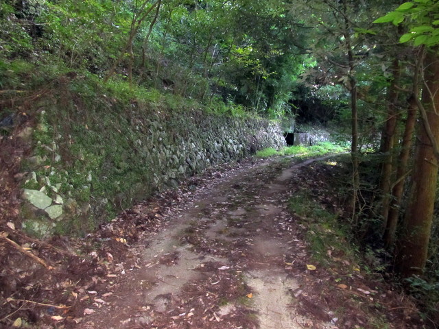 t17_022.jpg