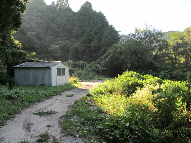 t17_025.jpg