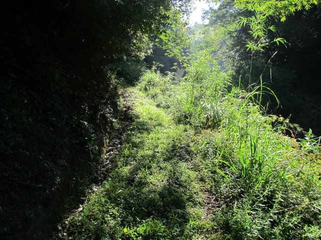 t17_031.jpg
