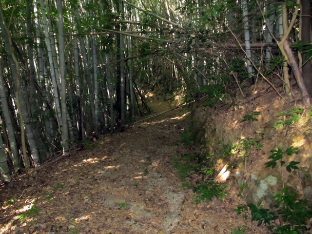 t17_049.jpg