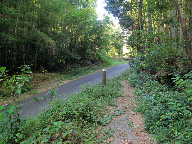 t17_051.jpg