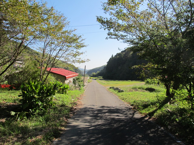 t17_055.jpg