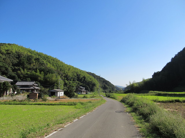 t17_056.jpg