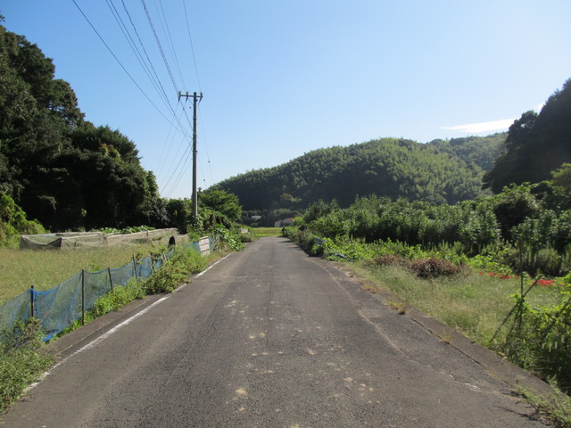 t17_058.jpg