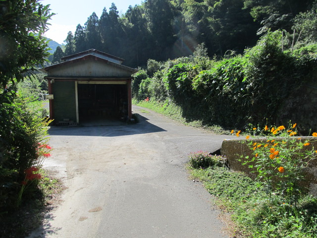t17_063.jpg