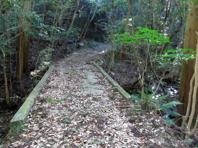 t17_071.jpg