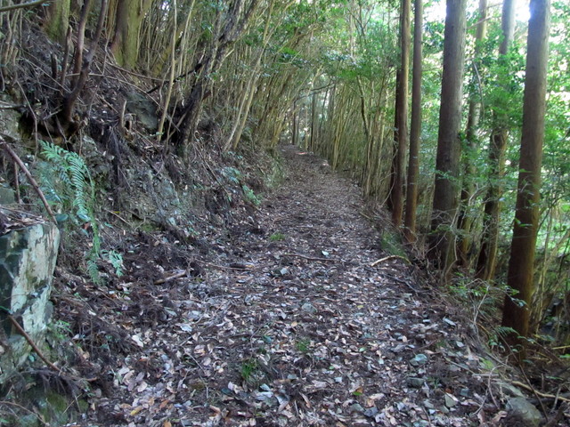 t17_072.jpg