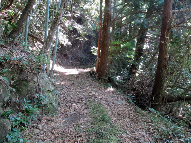 t17_073.jpg