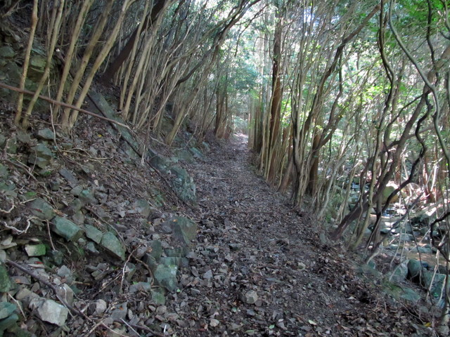 t17_074.jpg