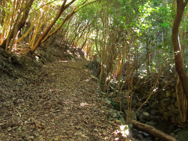 t17_077.jpg