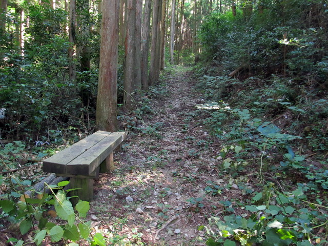 t17_080.jpg