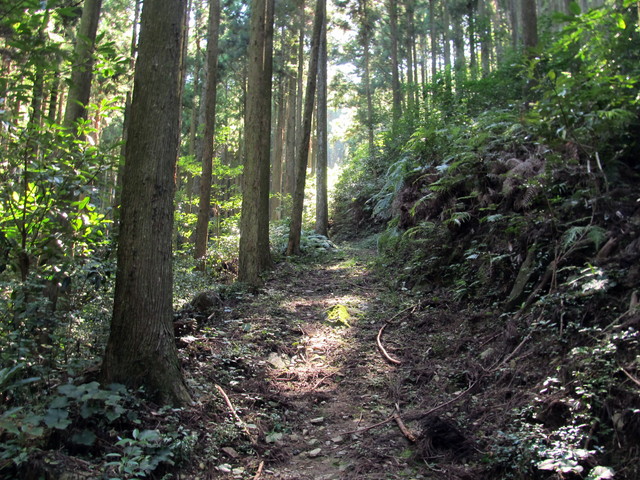 t17_081.jpg