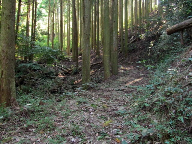 t17_083.jpg
