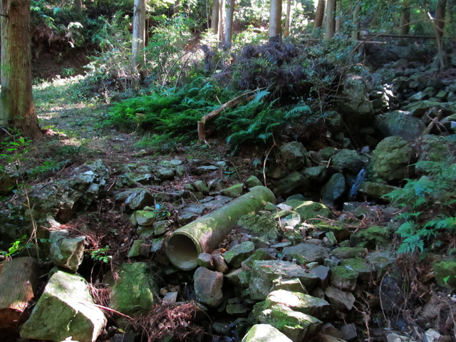 t17_086.jpg