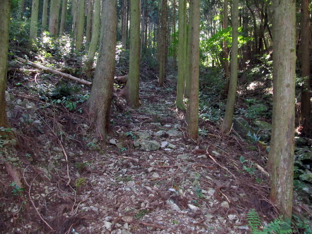 t17_088.jpg