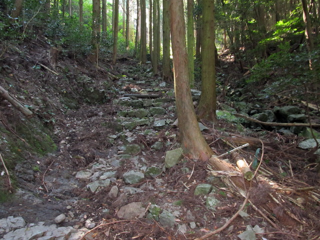 t17_089.jpg