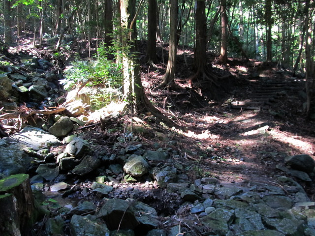 t17_090.jpg