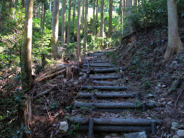 t17_092.jpg