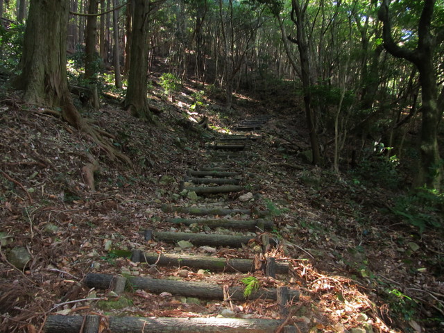 t17_094.jpg